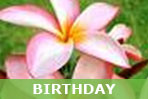 Birthday